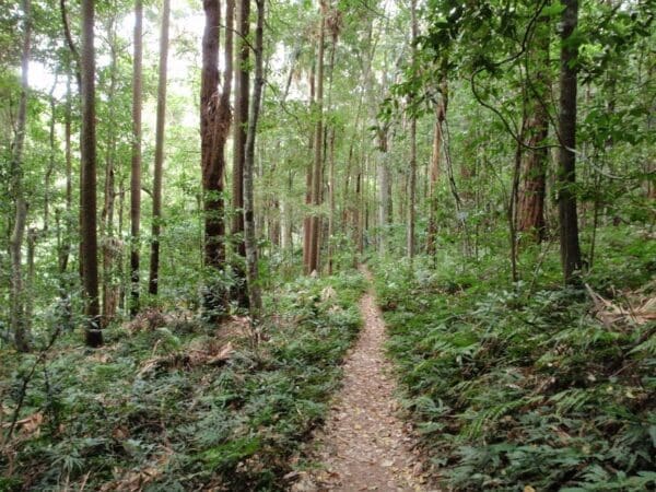 Stoney creek trail 600x450