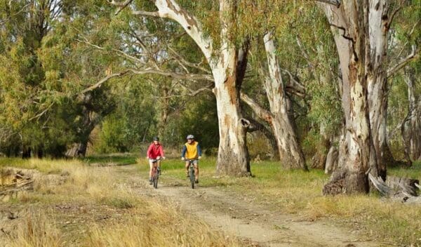 Hikes Turkey flat trail trail hiking australia 600x352