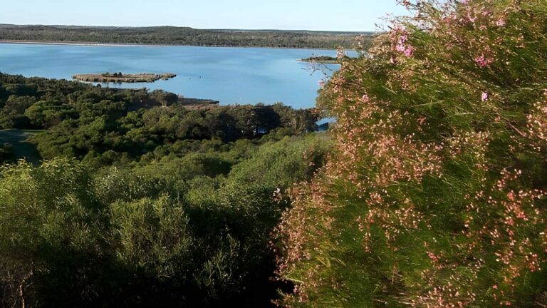 Lake Pollard Trail Walk (6km) Lake pollard trail walk (6km)