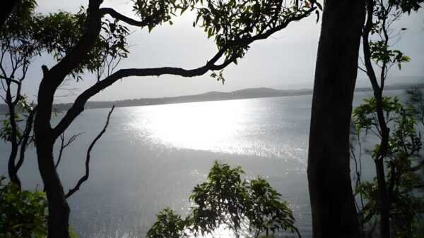 Rocky-high circuit walk (700m)