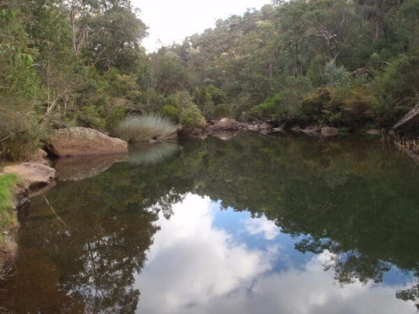 Blue pool track 600x450