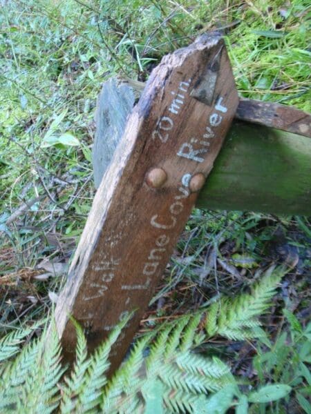 Hikes in New South Wales Gordon to roseville station riverside walk 450x600