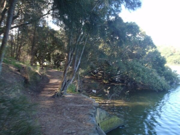 Morgans creek to padstow 600x450