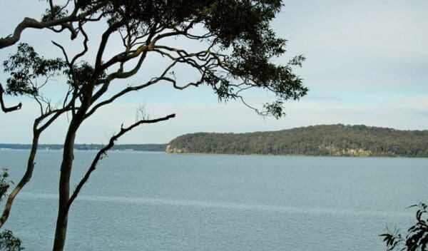 Wangi circuit walking track trail hiking australia 600x352
