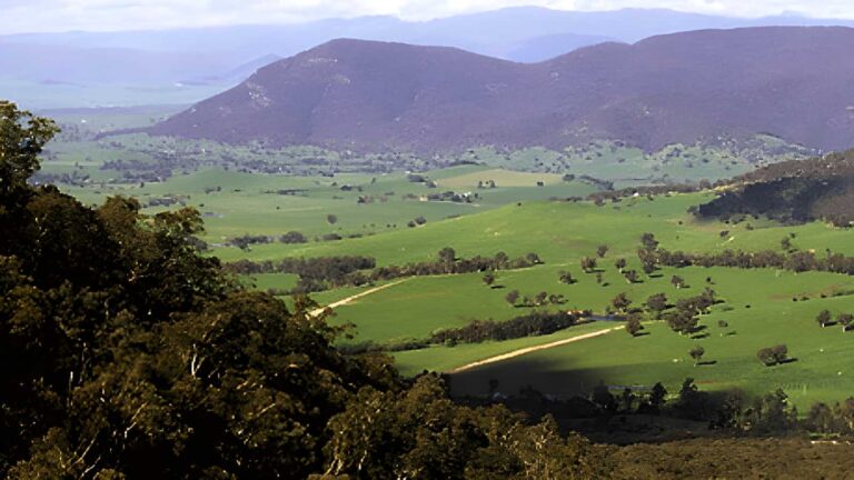 Campbells & Ross Lookouts Hike (7.5km) Campbells & ross lookouts hike (7. 5km)