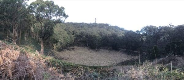Triplet Falls Circuit Walk (1.8km) Crator 600x262