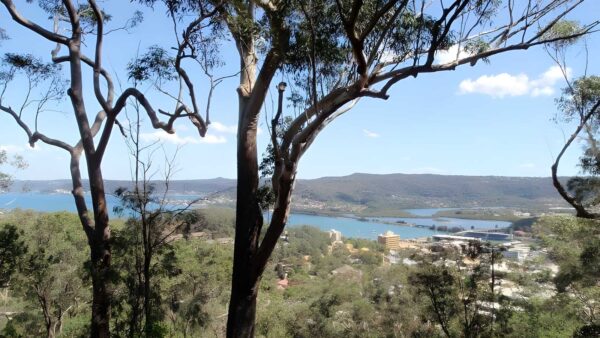 Matcham to Gosford Hike (8.5km) Matcham to gosford hike (8. 5km)