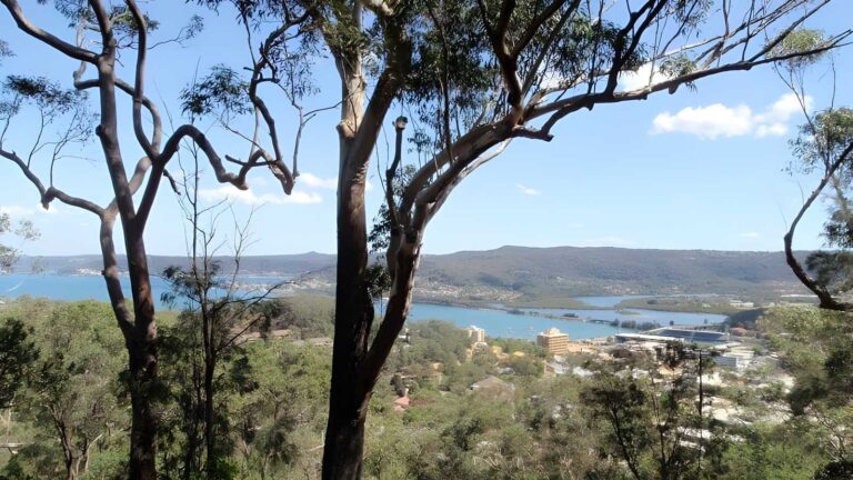 Matcham to Gosford Hike (8.5km) Matcham to gosford hike (8. 5km)
