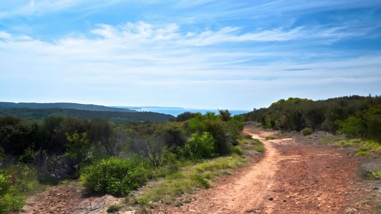 Moonee beach trail walk (4km)