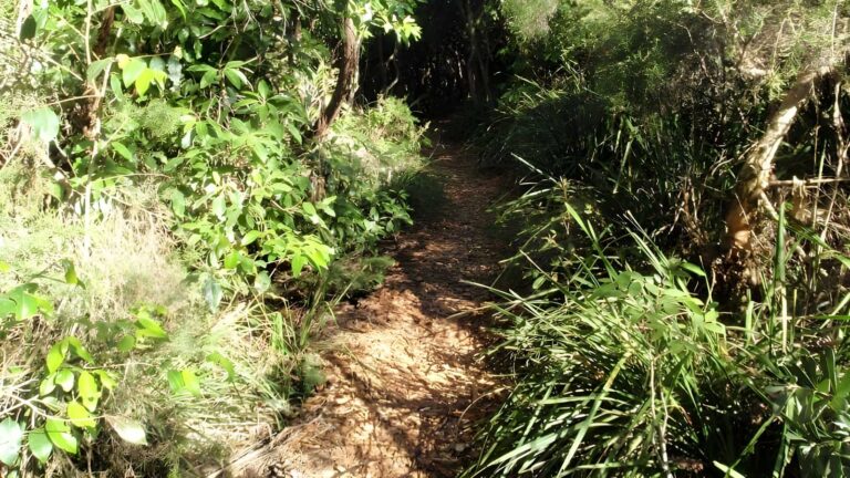 Norah head nature trail walk (2. 2km)