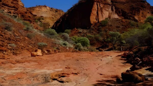 Temple Gorge Trail Walk (2km) Temple gorge trail walk (2km)