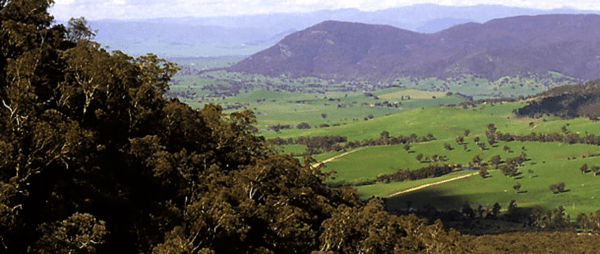 Bluff Creek Nature Trail Walk (4km) Trail hiking campbells and ross lookouts 7 4km 600x254