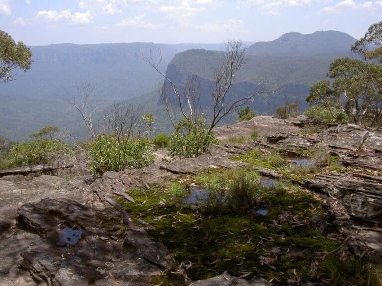 Mt hay 768x576