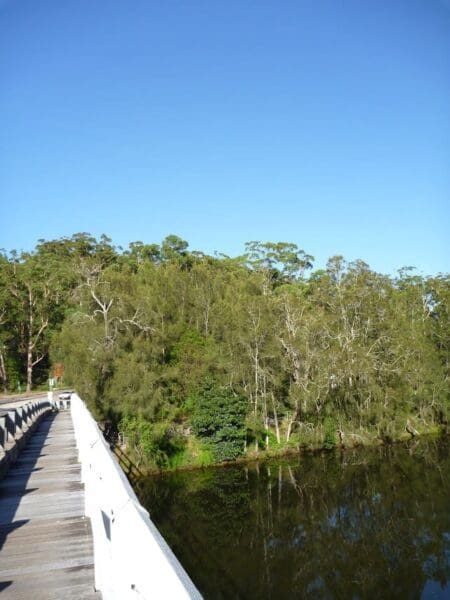 Roseville to macquarie park 450x600