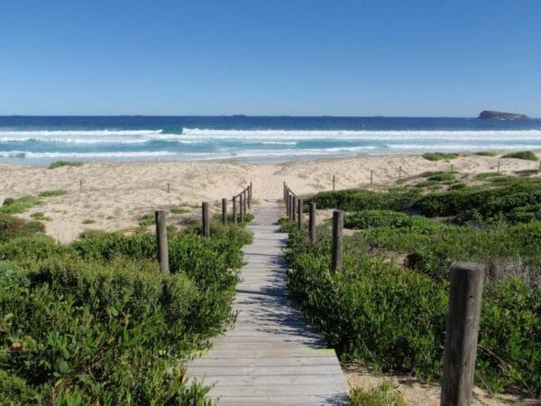 Moonee Beach Trail Walk (4km) Tea tree picnic area to birdie beach 600x450