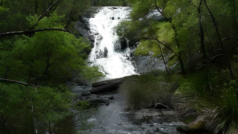 Beedelup Falls Loop Walk (4.5km) Beedelup falls loop walk (4. 5km)