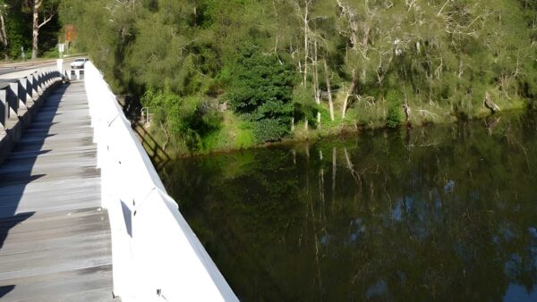 Roseville to macquarie park hike (8. 8km)
