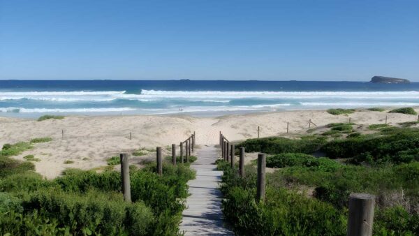Tea tree picnic area to birdie beach walk (500m)