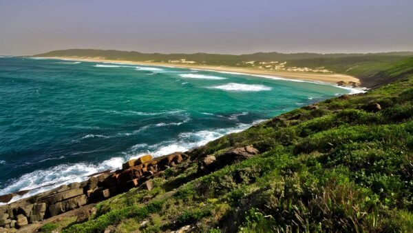 Treachery headland walking track (2km)