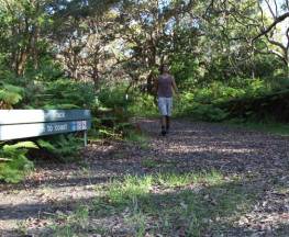 Banks-Solander track Trail Hiking Australia
