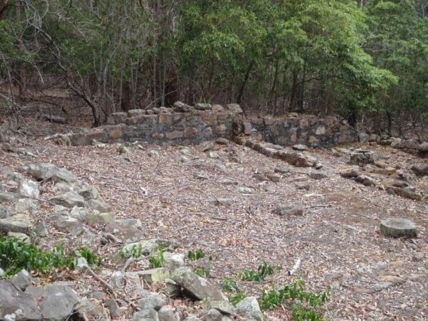 Bittangabee bay imlay house loop 600x450