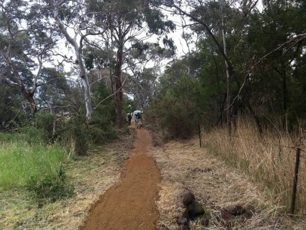 Fossil Cliffs Walk (4.5km) Brinktop reserve richmond park track 600x450