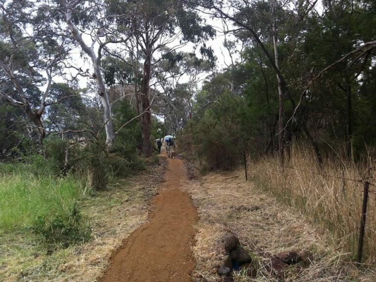 Brinktop Reserve & Richmond Park Track (5.5km) Brinktop reserve richmond park track 768x576