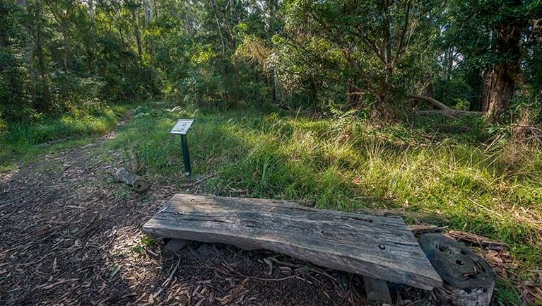 Browns Forest loop trail Trail Hiking Australia
