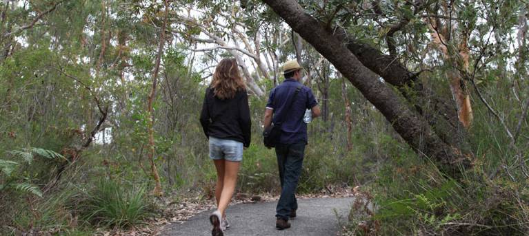 Bungoona lookout and path Trail Hiking Australia