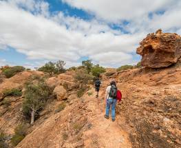 Bynguano Range walking track Trail Hiking Australia
