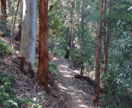 Byrrill Creek walking track Trail Hiking Australia