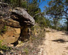 Canoelands Ridge walking track Trail Hiking Australia