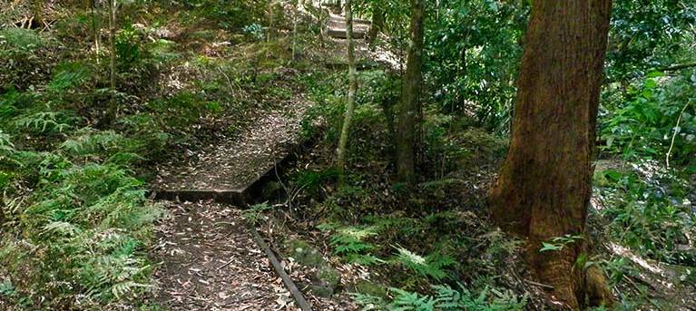Cascades walk Trail Hiking Australia