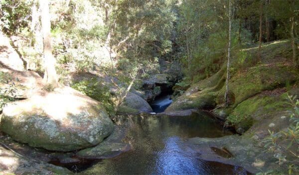Hikes Circuit walking track trail hiking australia 1 600x352