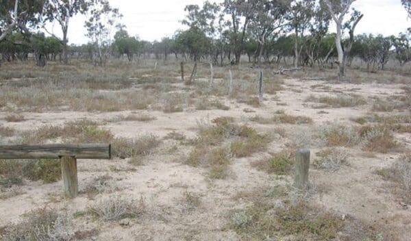Culgoa connellys track trail hiking australia 1 600x352
