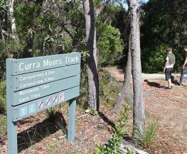 Curra Moors loop track Trail Hiking Australia