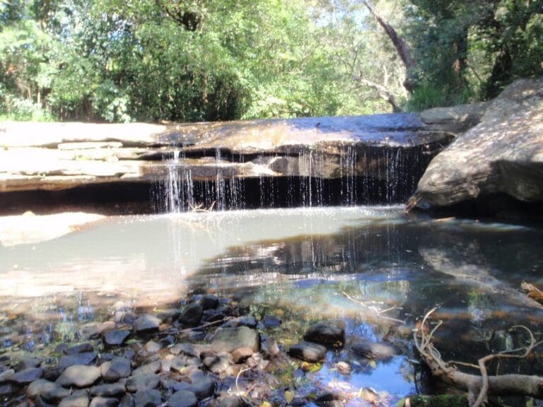 Epping to eastwood station via lane cove river 768x576
