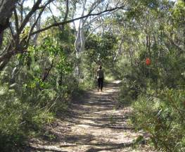 Falcon Crescent link track Trail Hiking Australia