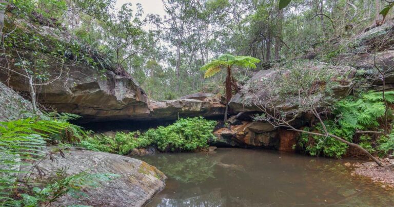 Fern Tree Pool & Giant's Chair Circuit Walk (5.6km) Fern tree pool and giants chair circuit 768x403