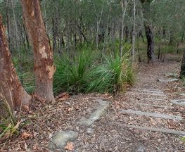 Fiddens Wharf walking track Trail Hiking Australia