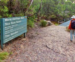 Gibraltar-Washpool World Heritage walk Trail Hiking Australia