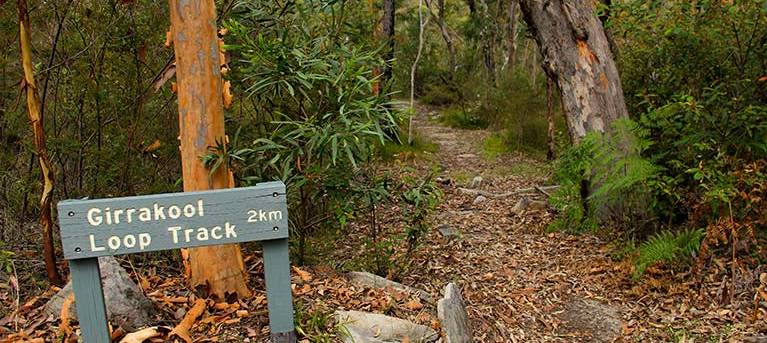 Girrakool loop track Trail Hiking Australia