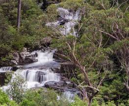 Gloucester Falls walking track Trail Hiking Australia