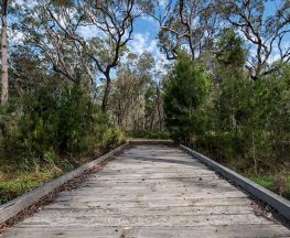 Googik Heritage walking track Trail Hiking Australia