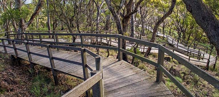 Governor Summit (Corrunbral Borawah) walking track Trail Hiking Australia