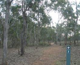 Green track Trail Hiking Australia