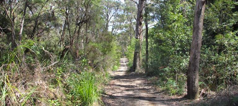 Heath and Bare Creek trails Trail Hiking Australia