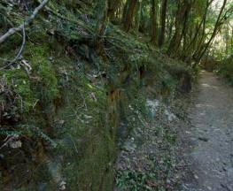 Hidden Treasure track Trail Hiking Australia