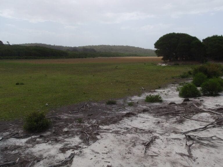 Hobart beach camping area to bondi lake 768x576