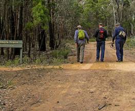 Ironbark walking track Trail Hiking Australia
